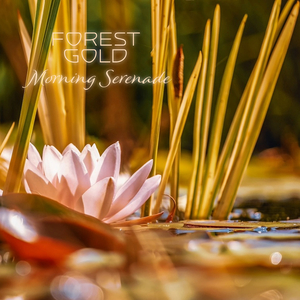 性爱亚洲无码视频
