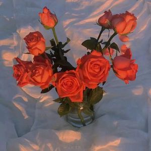 性爱亚洲无码视频
